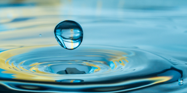 Teaching teens values, character, life skills- Resources by author Colleen Doyle Bryant